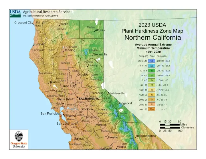 best plants to grow in 90210 (Northern California)