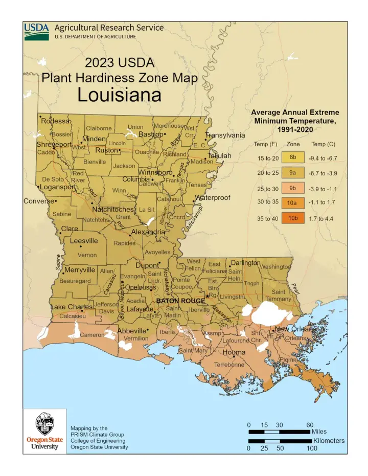 plants by zone map for Louisiana