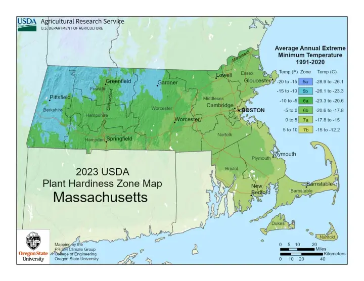 plants by zone map for Massachusetts