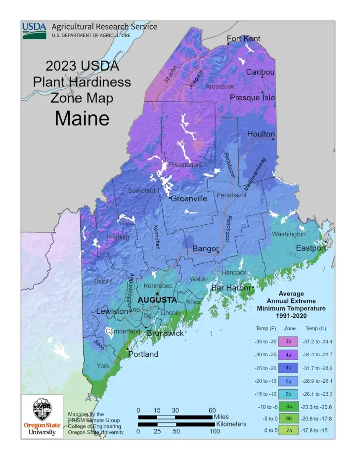 plants by zone map for Maine