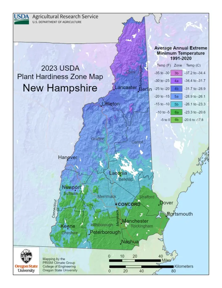 plants by zone map for New Hampshire