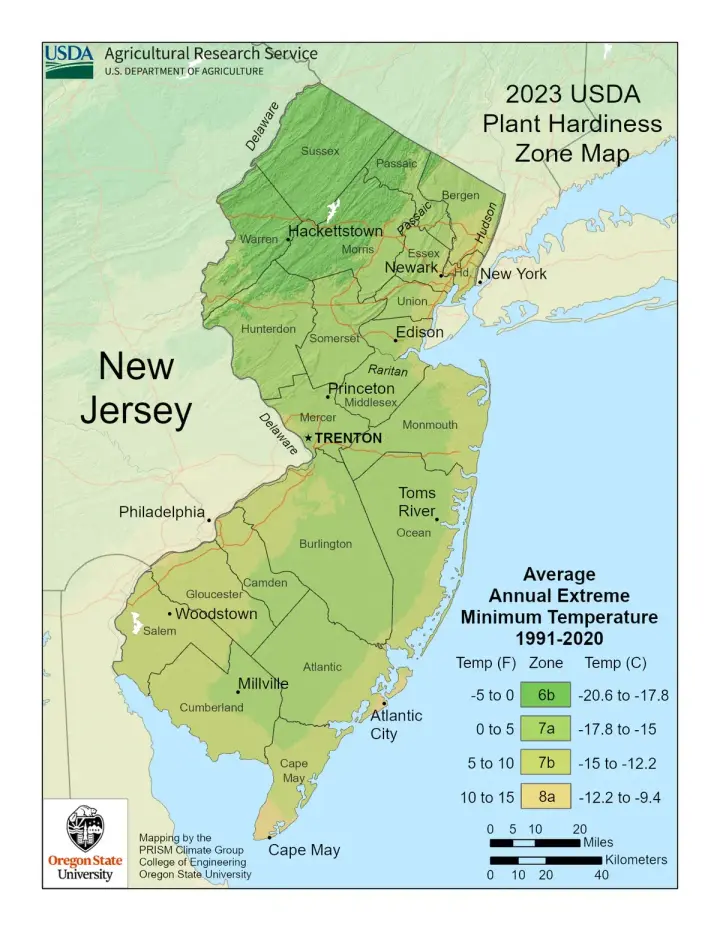 plants by zone map for New Jersey
