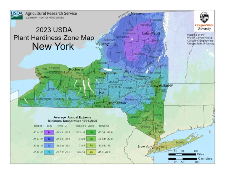 plants by zone map for New York