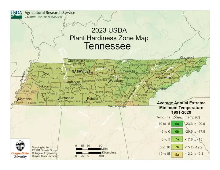 plants by zone map for Tennessee
