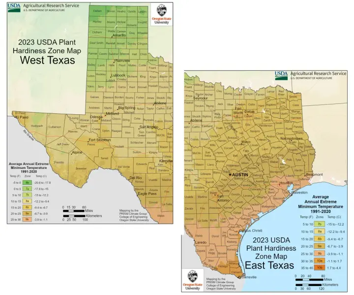 plants by zone map for Texas