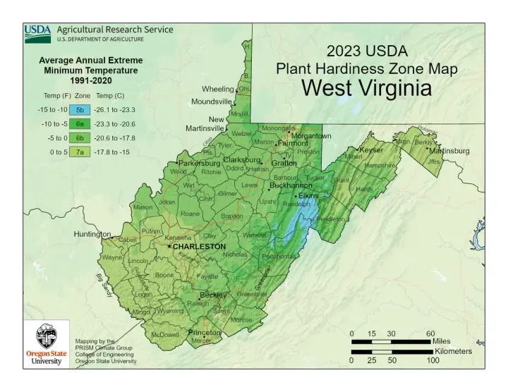 plants by zone map for West Virginia